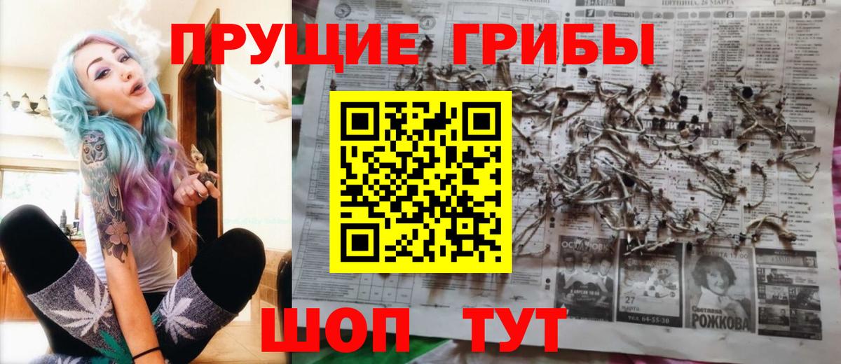 где можно купить   Вход с VPN  Хабаровск  Псилоцибиновые грибы GOLDEN TEACHER 